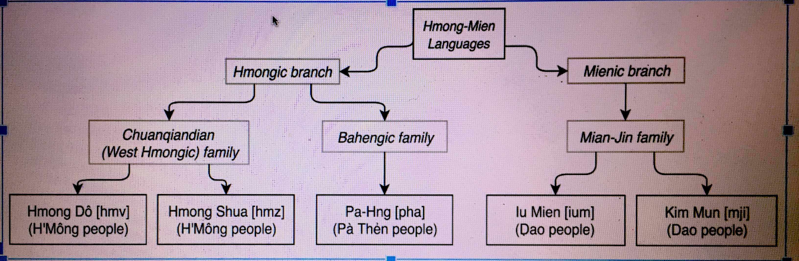 Hmong Languages in Ha Giang